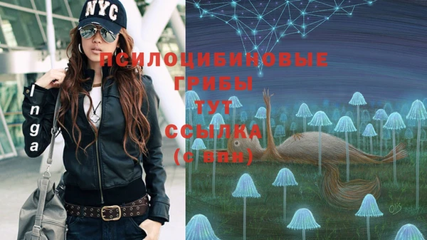 кокс Абинск