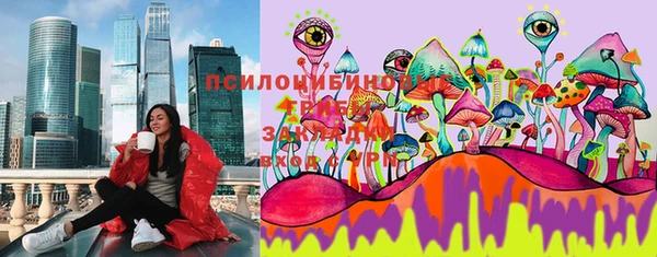 ПСИЛОЦИБИНОВЫЕ ГРИБЫ Абаза