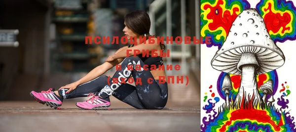 эйфоретик Алзамай