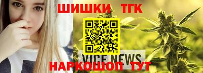 сатива Славгород