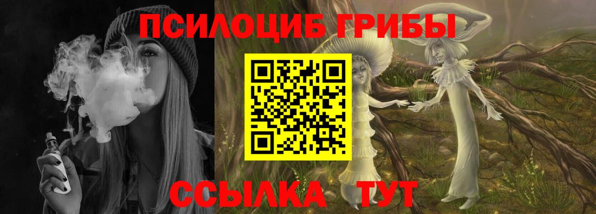 Тихвин  Галлюциногенные грибы Magic Shrooms  Вход с VPN 